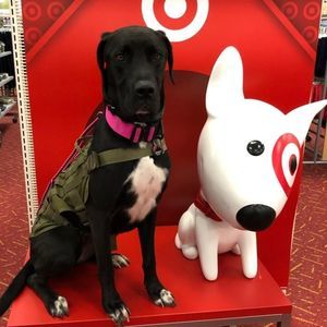 Meet your Posher, Gail